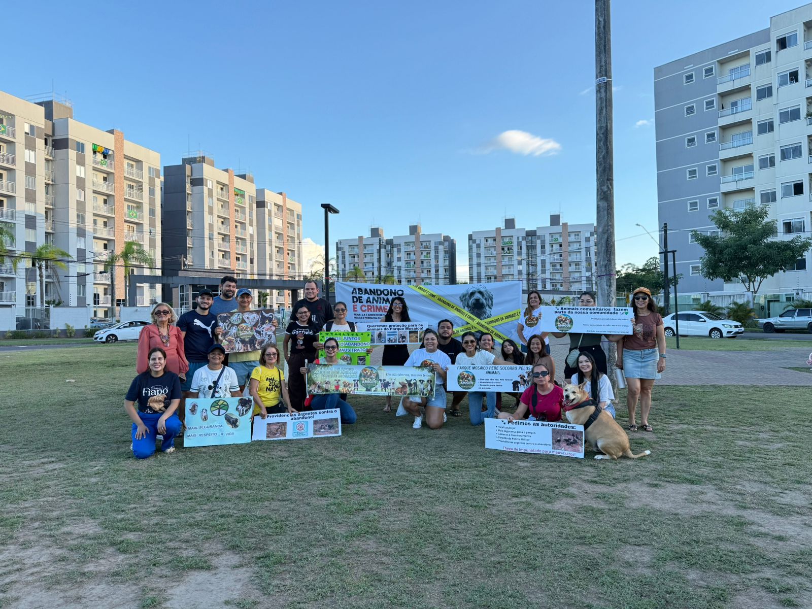 Parque Mosaico: um bairro unido contra o abandono de animais